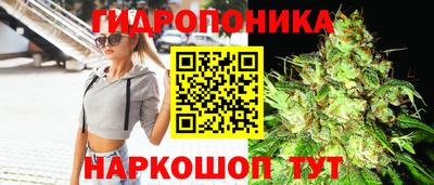 хмурый Шебекино