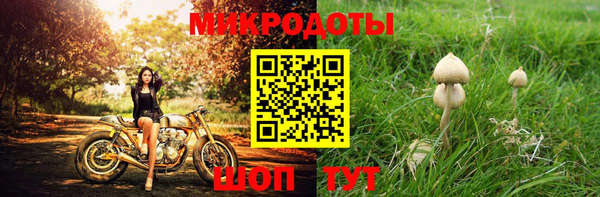 Алексеевка  Псилоцибиновые грибы GOLDEN TEACHER  Галлюциногенные грибы Psilocybine cubensis  Вход с VPN 