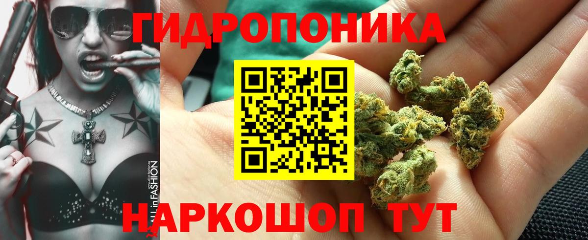 Бошки Шишки OG Kush Алексеевка